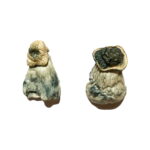 Two dried mushrooms are shown on a plain white background. The mushroom on the left, resembling Albino Penis Envy Magic Mushrooms, is slightly smaller with a rounded top, while the right one has a flatter, darker cap. Both display a weathered appearance.