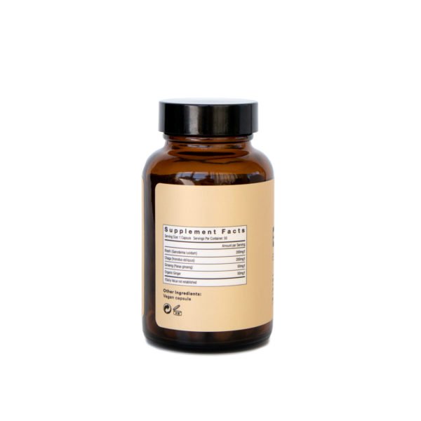 Be Energized (Booster) Mushroom Supplement Capsules Be Energized (Booster) Mushroom Supplement Capsules