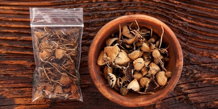 Buy Magic Mushrooms Online