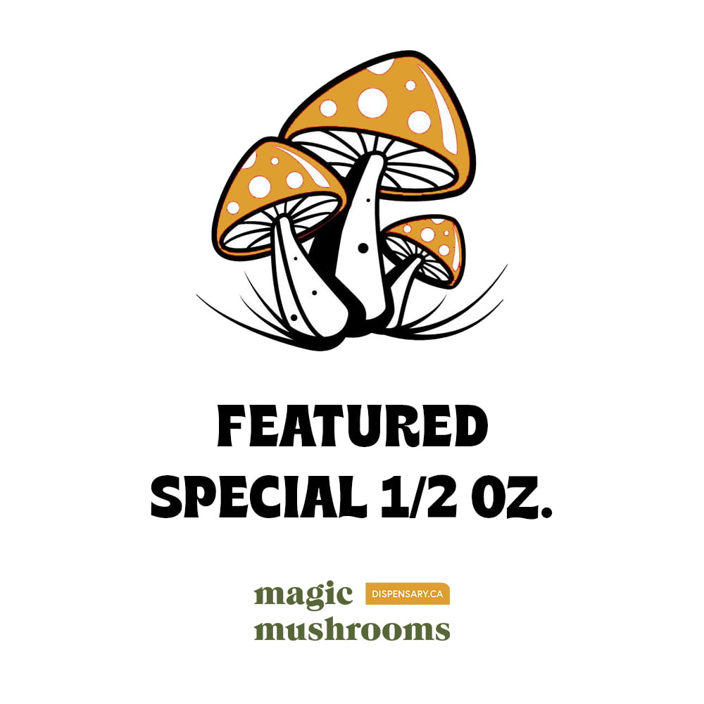 Featured Special ‘Half Oz’ Magic Mushrooms (14 grams) Featured Special ‘Half Oz’ Magic Mushrooms (14 grams)