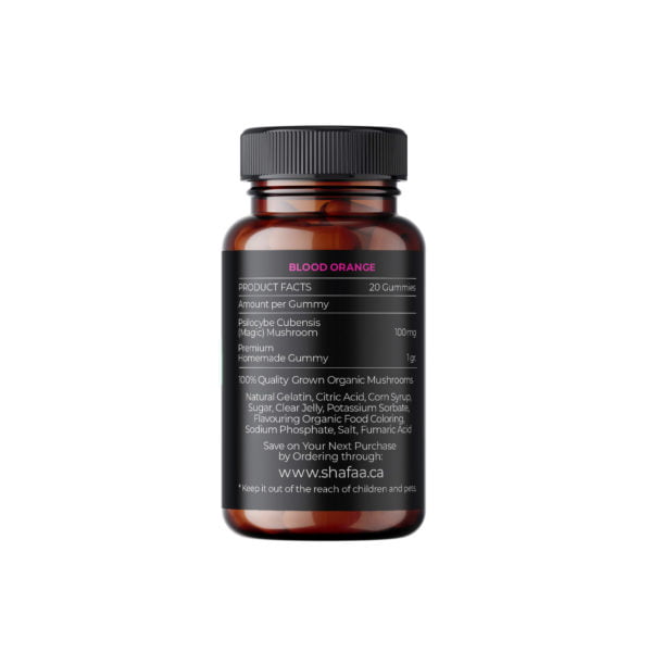 Shafaa Evolve Magic Mushroom Microdosing Gummy Bears Shafaa Evolve Magic Mushroom Microdosing Gummy Bears