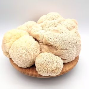 lions mane mushrooms uk