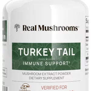 Reduces Fatigue Supports Gut Health Immune Boosting Improves Athletic Performance 90 x 500mg Capsules 1 Months Supply (3 capsules daily, taken all at once or throughout the day) Pure Turkey Tail Mushroom Extract In A Vegan Friendly Capsule